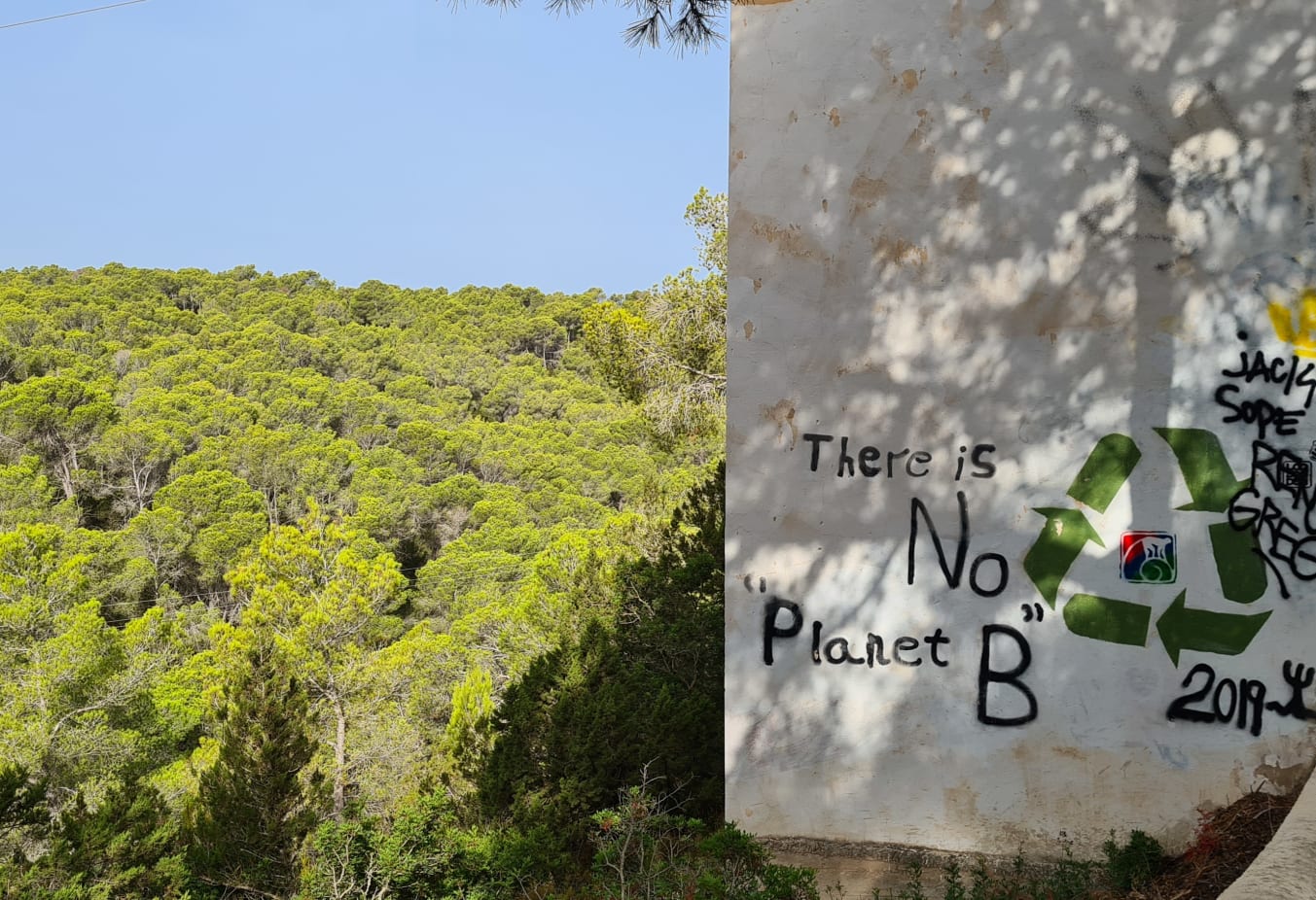 Image of a wall with graffiti that says "There is no planet B" next to a forrest